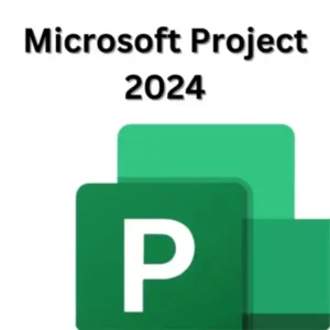 MS Project 2024 Email Bind Key PC