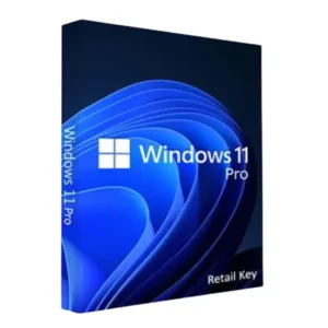 Windows 11 Pro Lifetime Retail Key