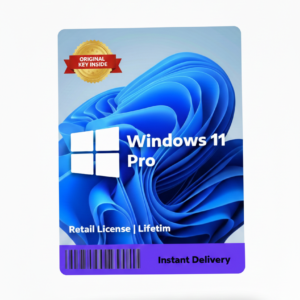 windows 11 pro 1 user lifetime validity